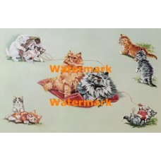 Cats  - XD7646  -  PRINT